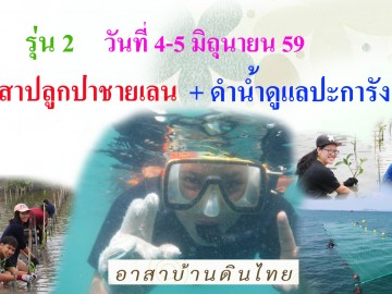 อาสา ปลูกป่าชายเลน ดูแลปะการัง 4 - 5 มิถุนายน 59  (เตรียม รับมือกับปรากฎการณ์ ประการังฟอกขาว)